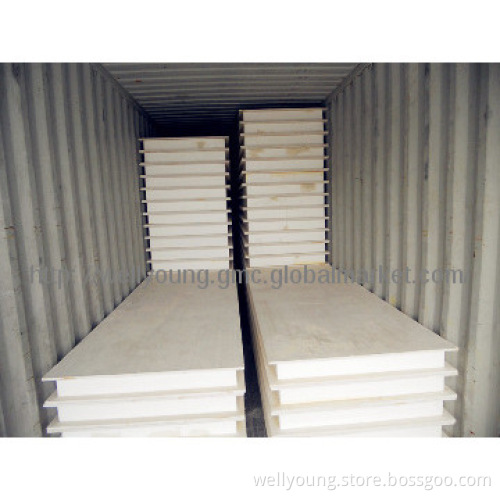 EPS sandwich wall panel for outdoor and exterior